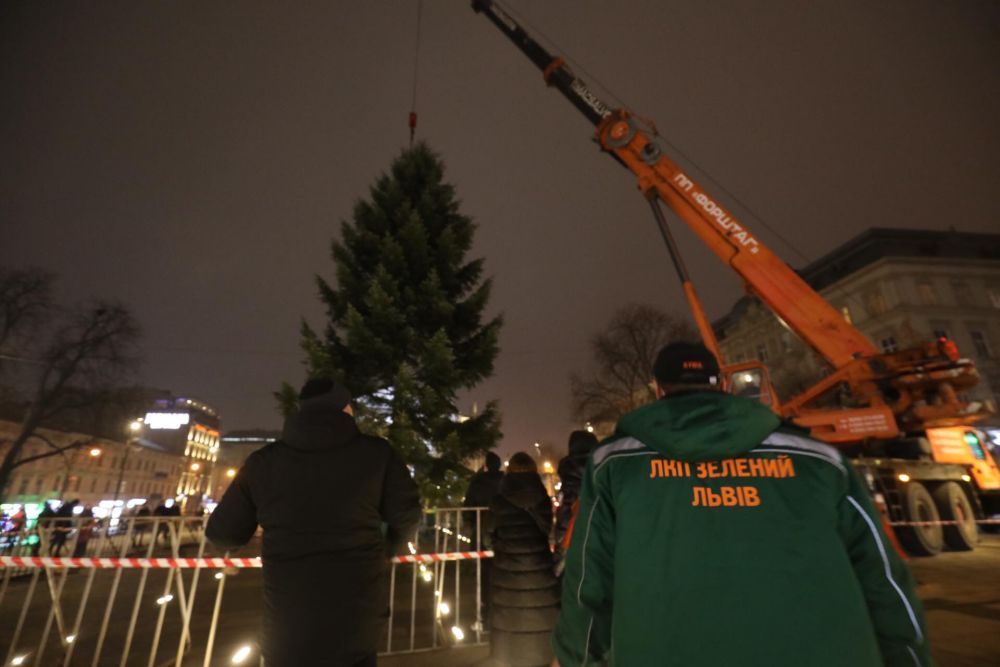 Новорічна ялинка у Львові