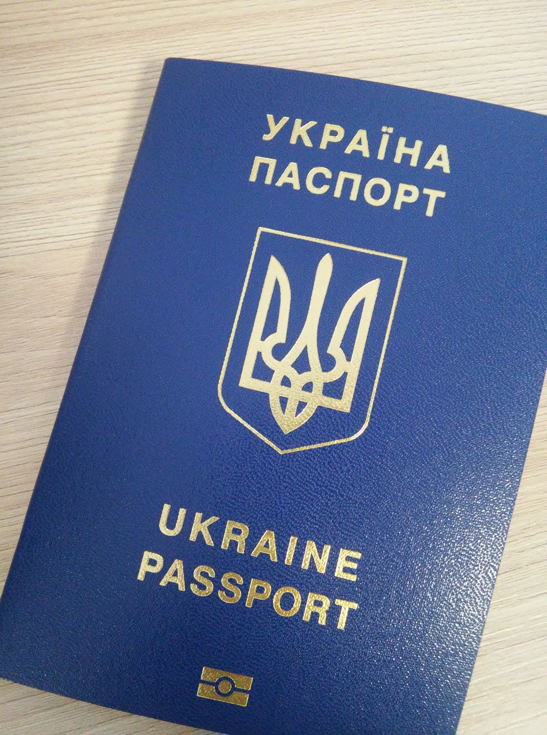 У Харкові мати з двома дітьми показово викинули закордонні паспорти (відео)