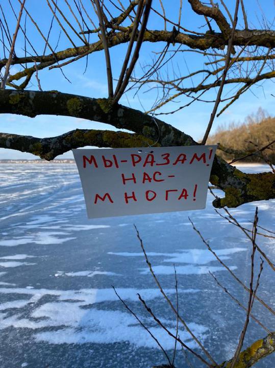 Беларусы начали протестовать красно-белыми плакатами на деревьях - фото