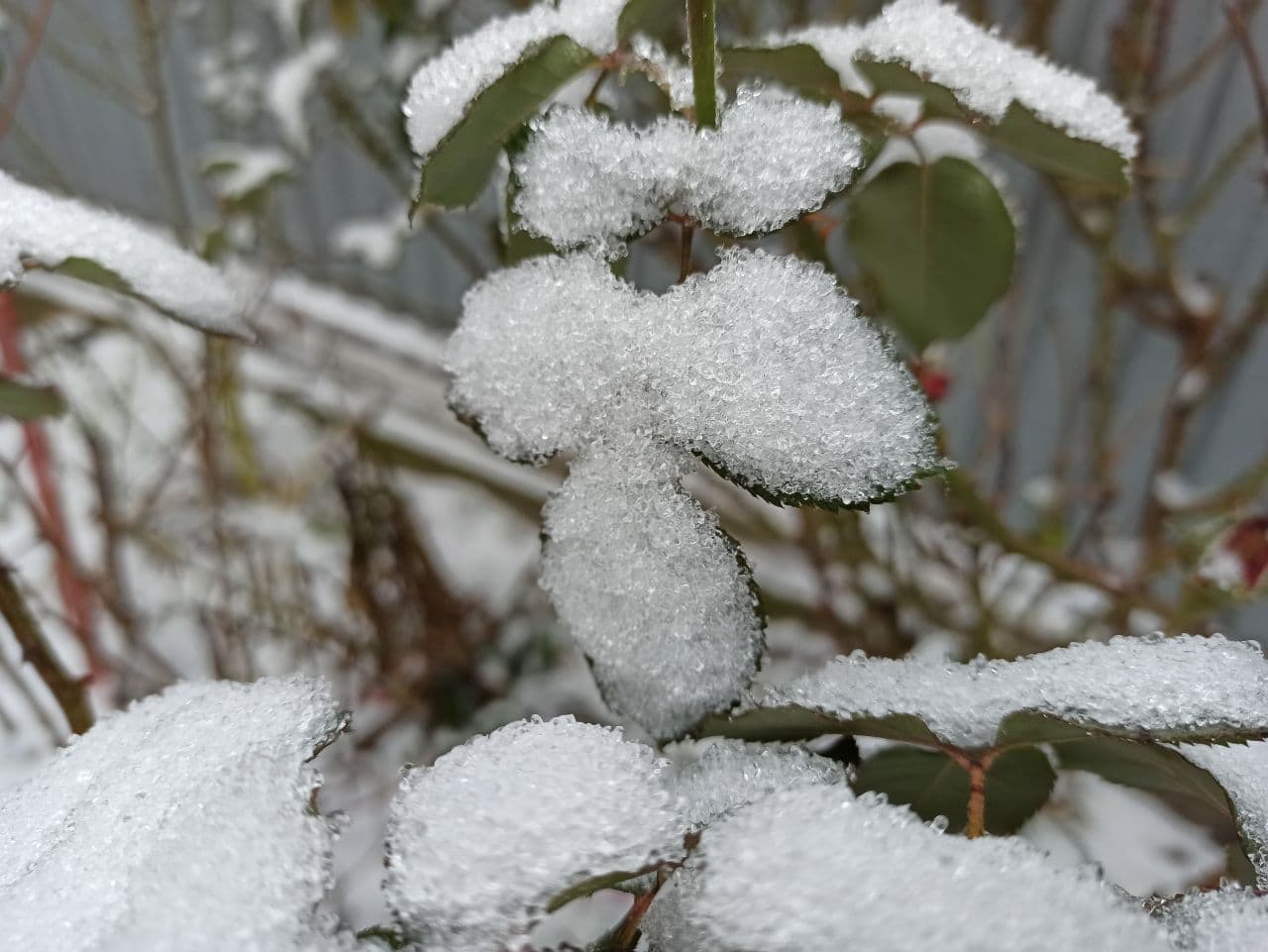 Синоптик розповів, коли українцям очікувати снігу