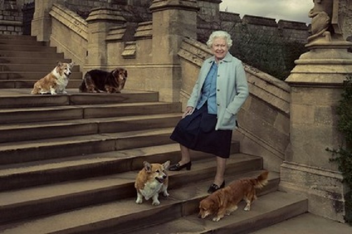 Королева з собаками  