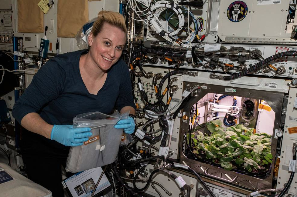 Астронавт NASA вырастила редиску