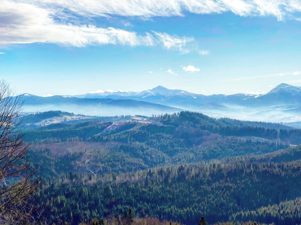 Нетипично теплый: синоптики рассказали о том, каким будет январь в Украине