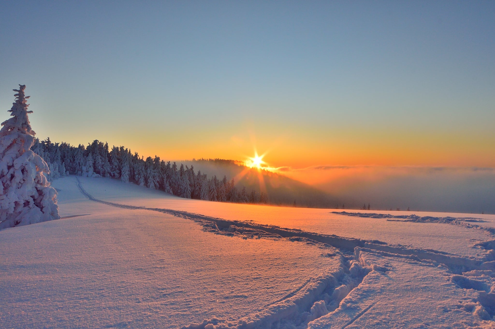 У Карпатах насипало майже метр снігу