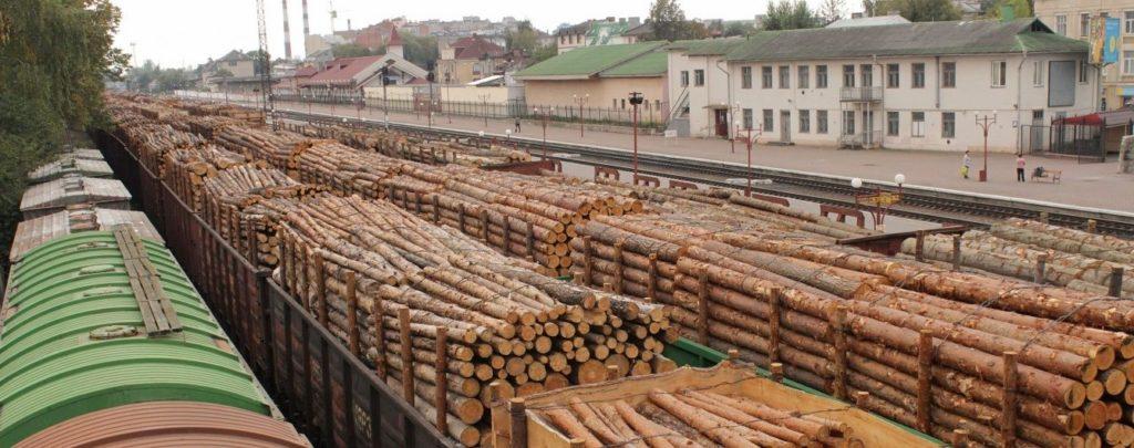 В Госэкоинспекции за год насчитали всего 312 миллионов убытков лесам Украины