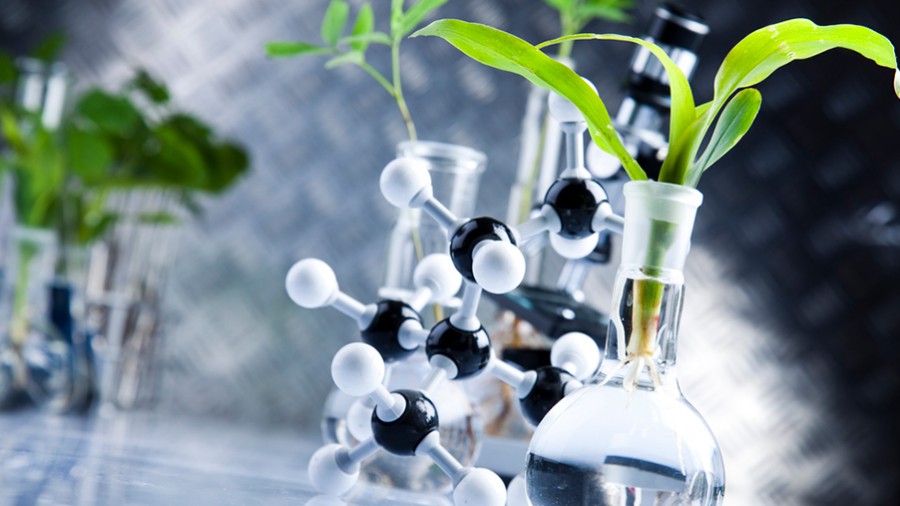 Ученые научились выращивать древесину в пробирке