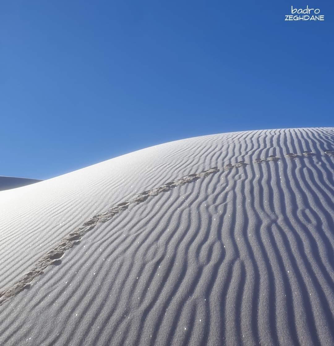 У пустелі Сахара вшосте за 40 років випав сніг - фото