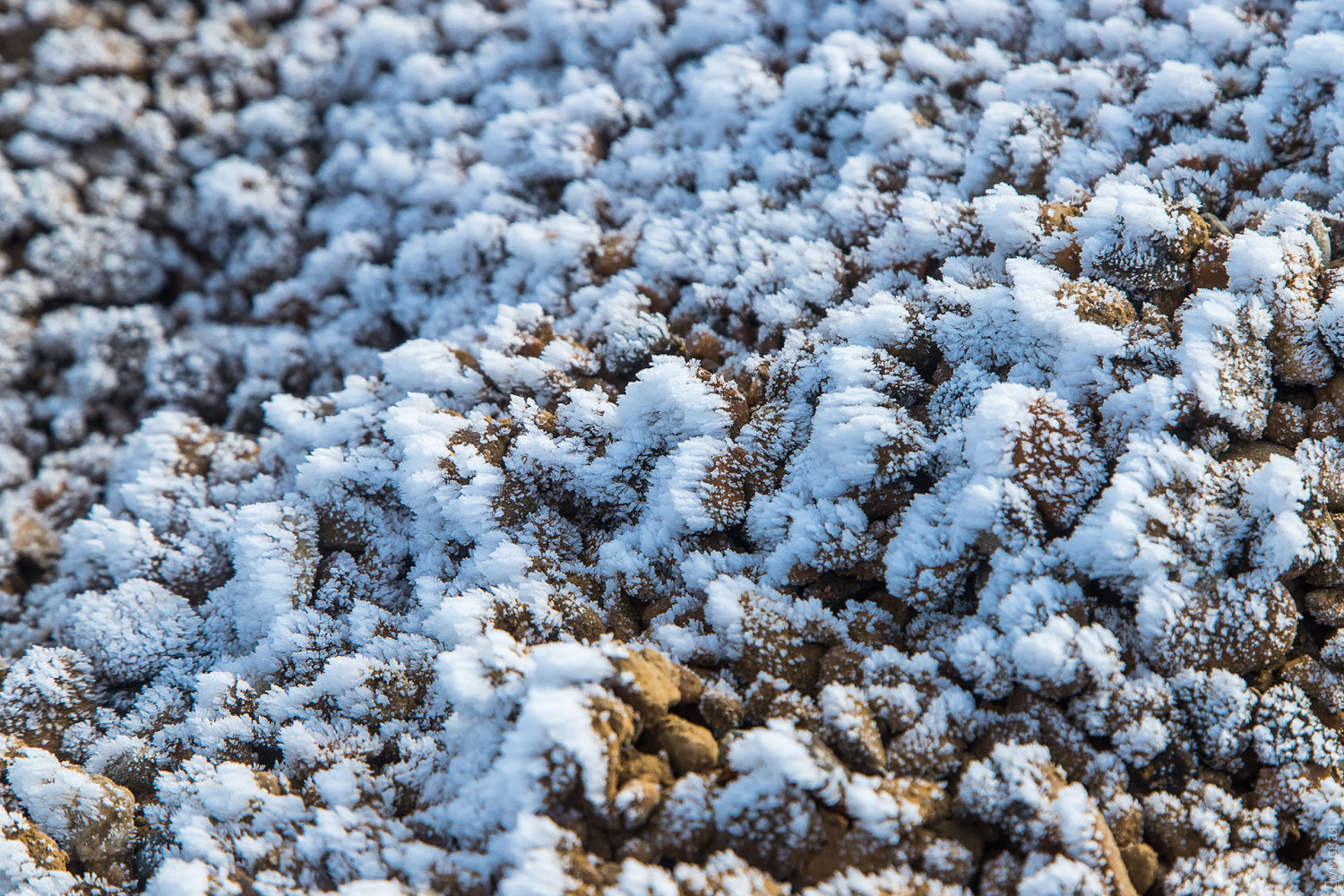 Море в Одесі зимою