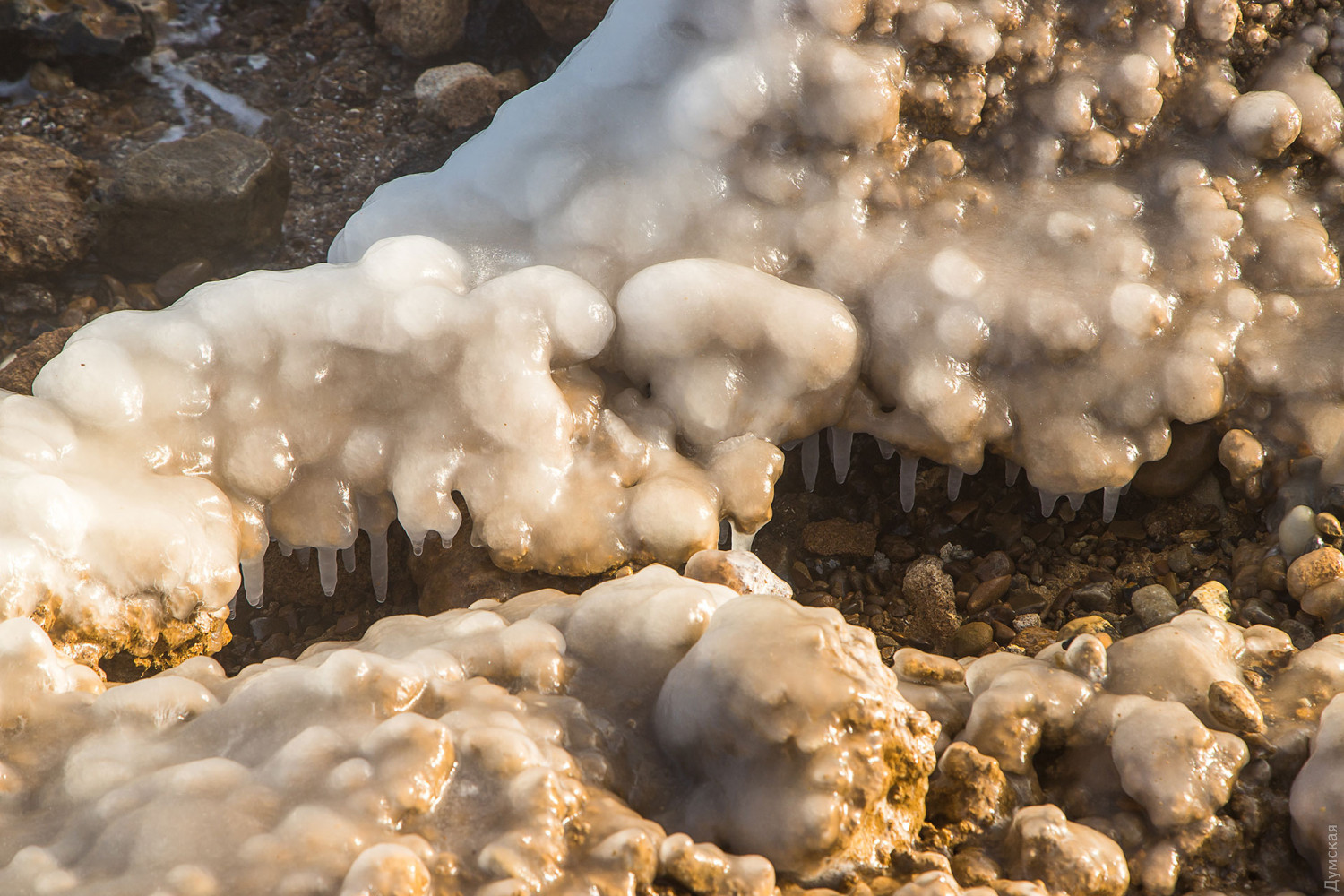 Море в Одесі зимою
