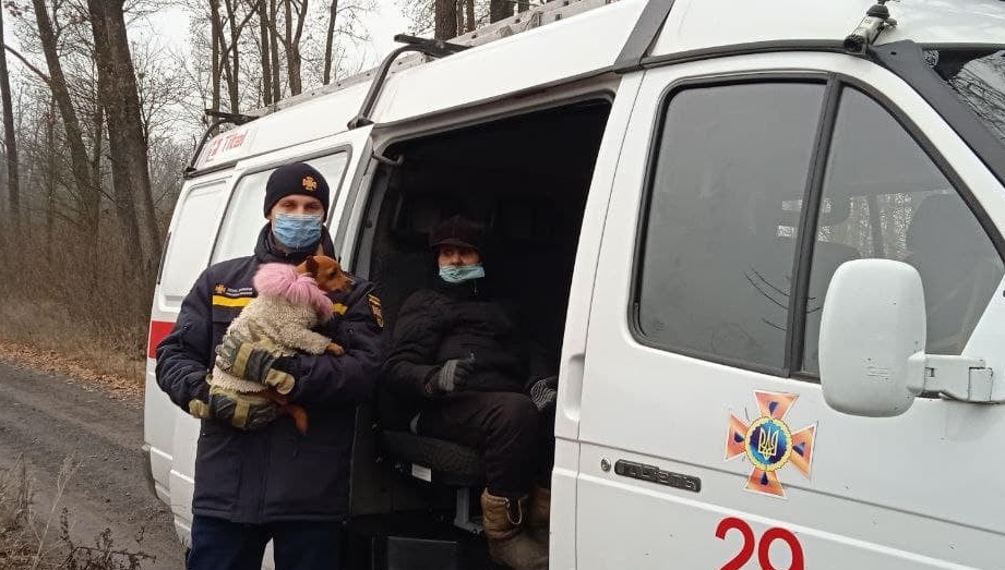 Пенсіонерка з собакою добу блукала у лісі