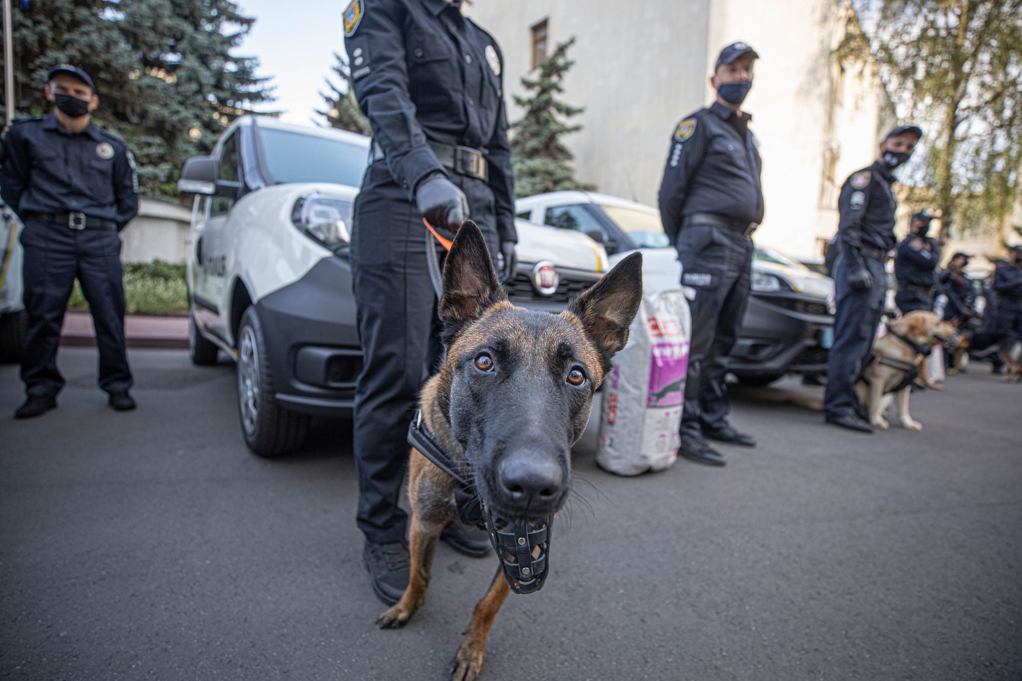 Десять ТРЦ и отель заминировали в Киеве
