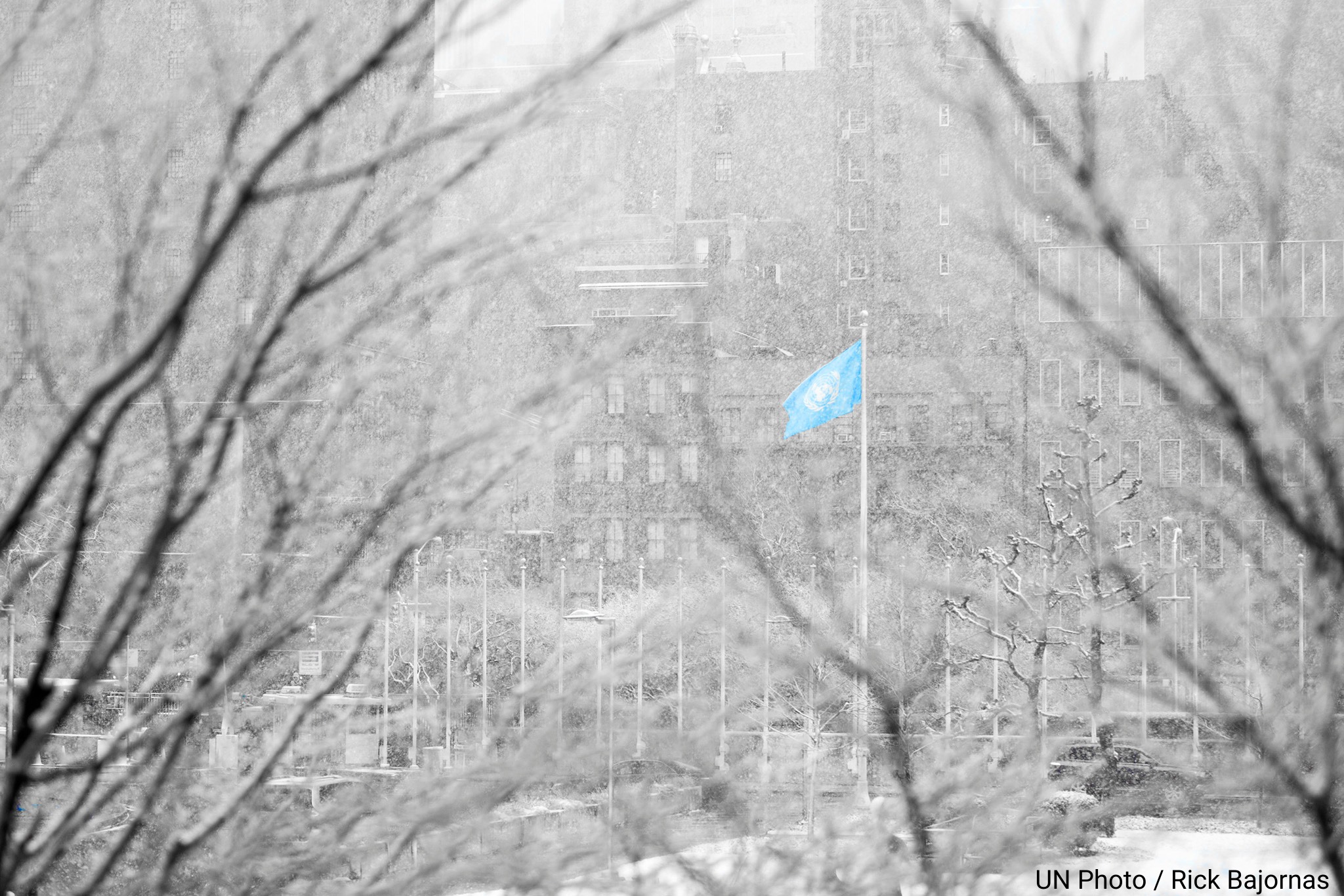 Україна на засіданні Генасамблеї ООН доповість про ситуацію на Донбасі - Кислиця