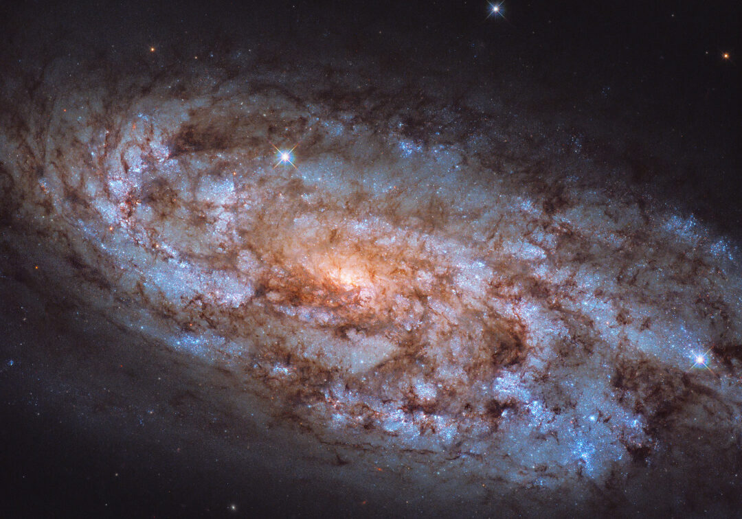 Астрономы показали галактику в созвездии Голубя