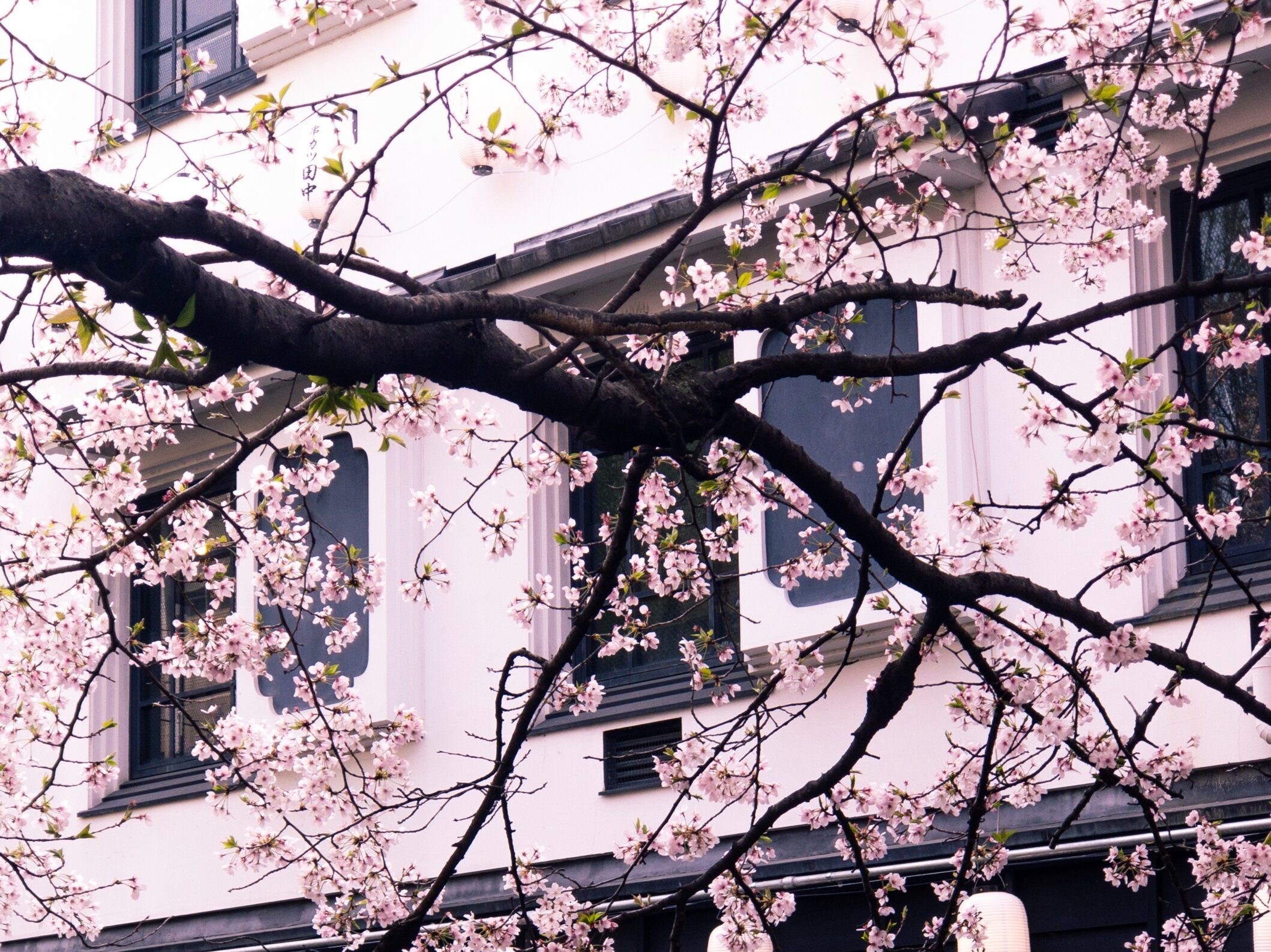 Жара задержится в Украине: синоптики о погоде 14 июля