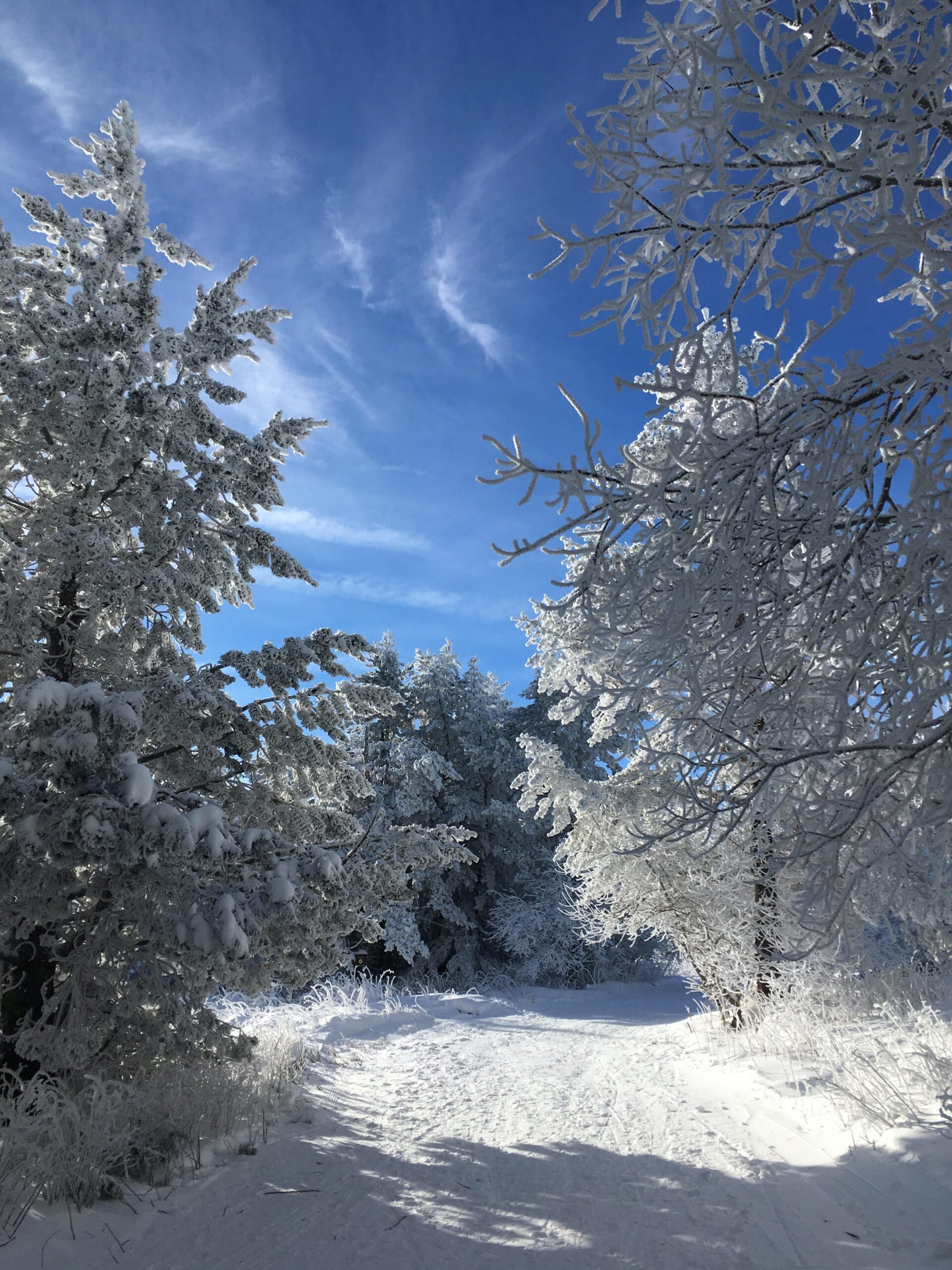 Похолодание до 20 градусов ожидается в нескольких областях Украины