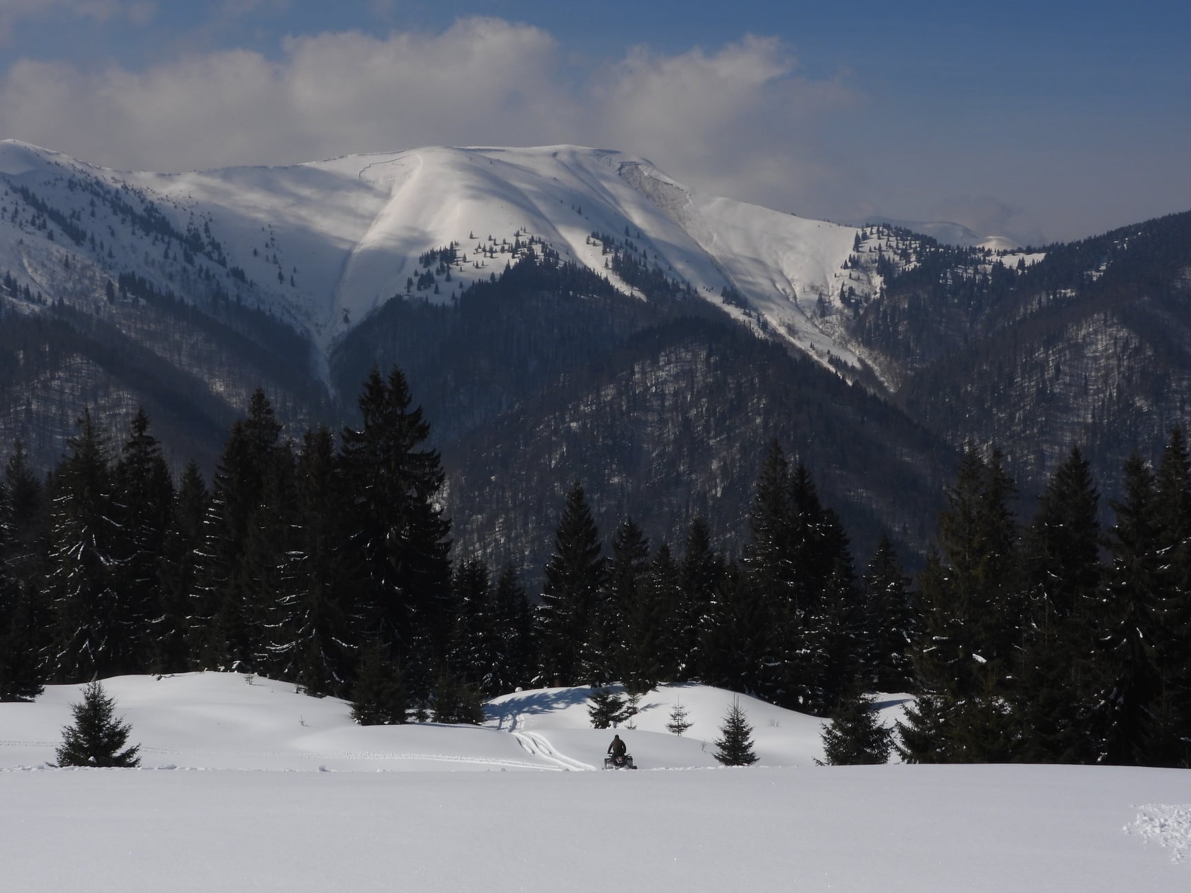 Заповідник на Закарпатті повідомив про сходження лавини, але ДСНС про неї не чула