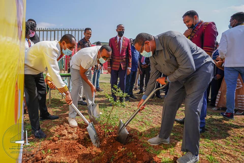 Этой весной в Эфиопии высадят шесть миллиардов деревьев