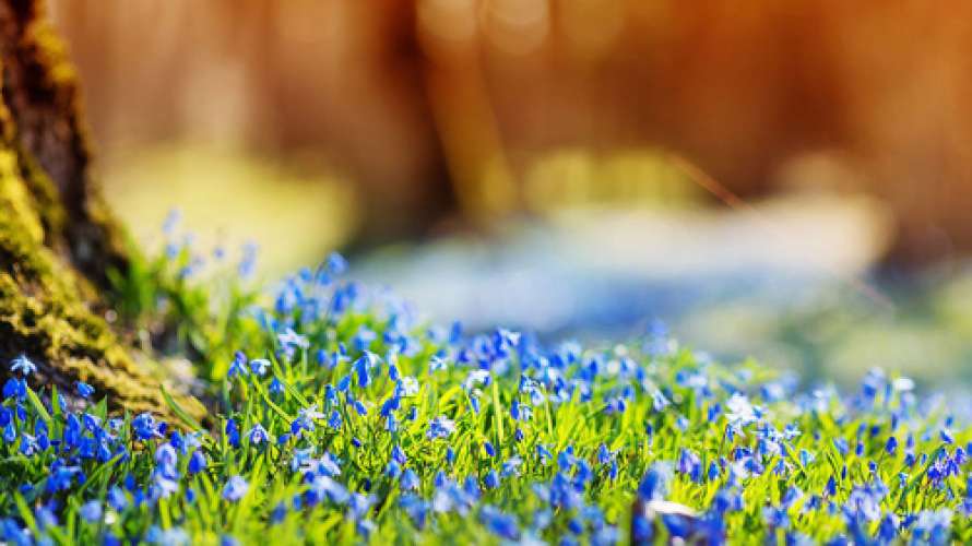 Выходные в Украине будут теплыми, но дождливыми - синоптики