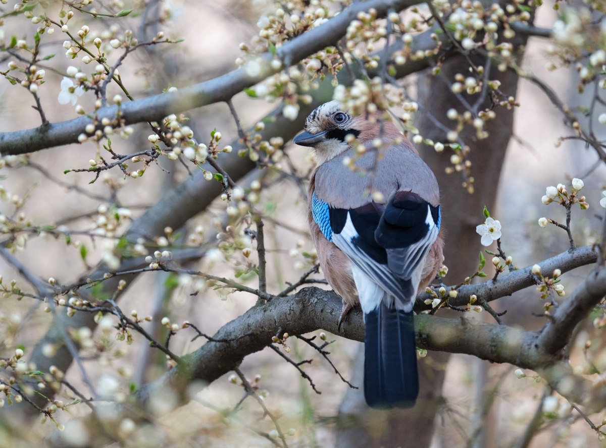 Потепління до плюс 20 градусів і дощі - прогноз погоди на тиждень