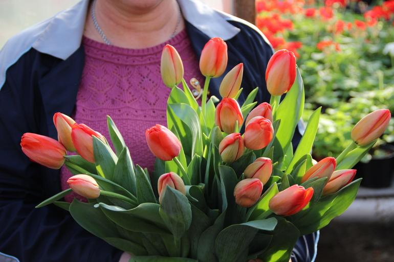 Синоптики розповіли про погоду в Україні 8 березня