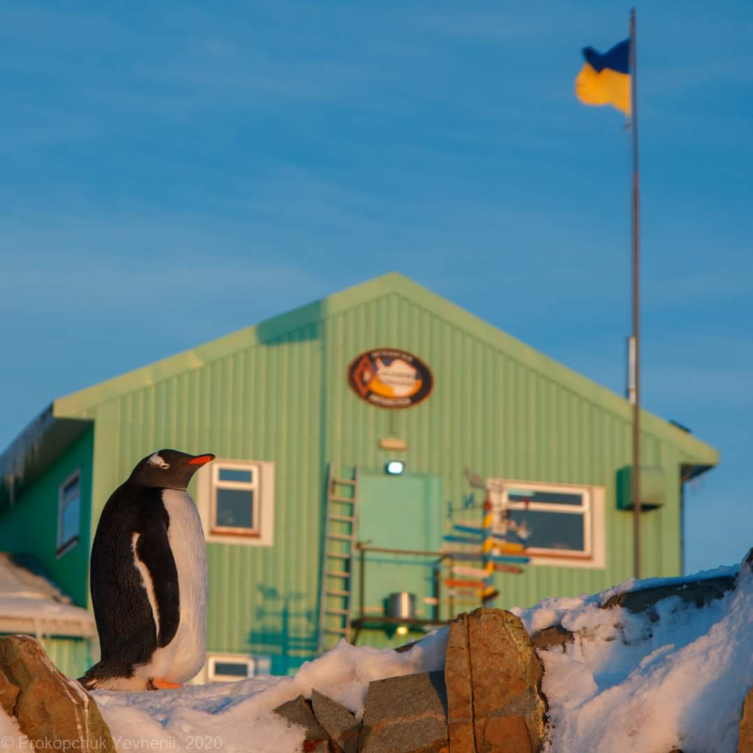 На антарктичну станцію України шукають сисадміна: зарплата 54 тисячі гривень на місяць