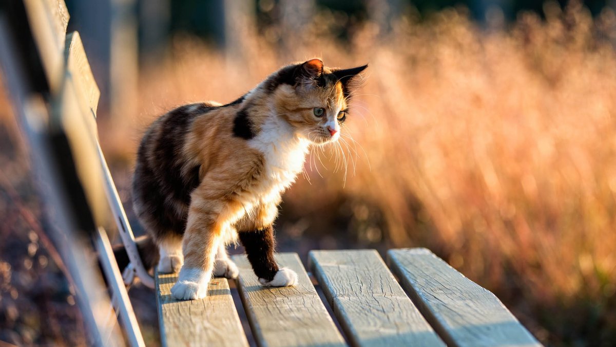 Теплый март и первые грозы в апреле: народный синоптик дал прогноз на весну