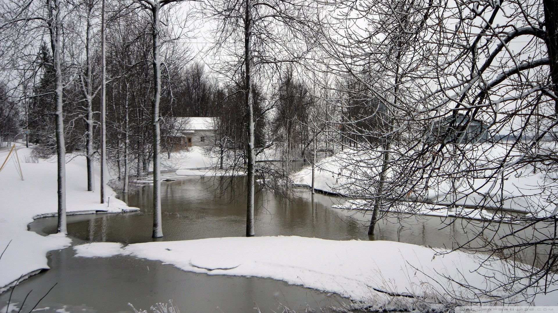 Синоптики прогнозируют в Украине оттепель и лавины