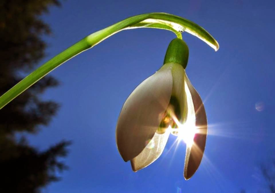 Антициклон Vesna с солнечной погодой придет в Украину