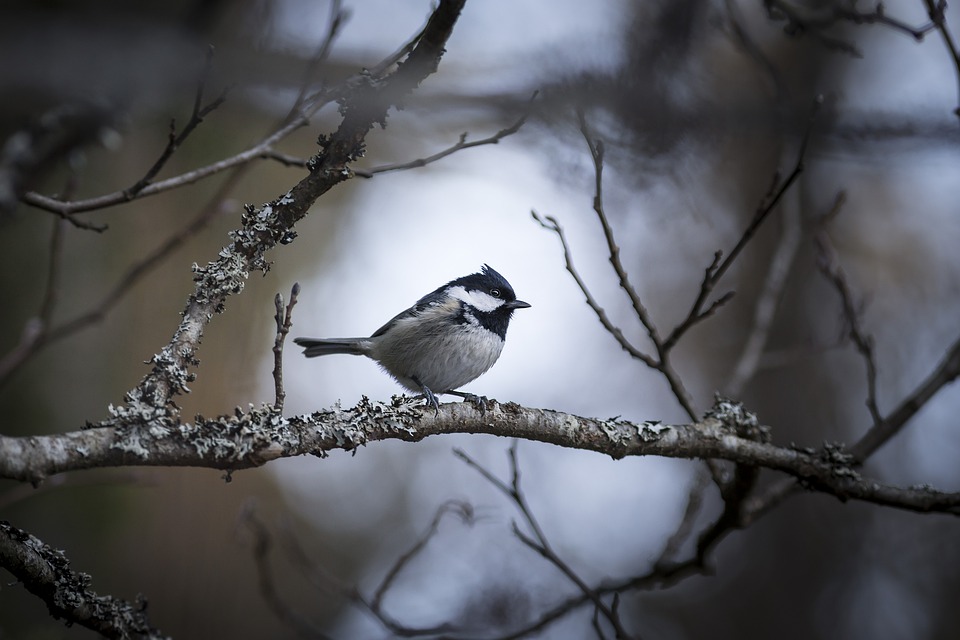 Переменчивая и теплая: синоптики о погоде до конца недели