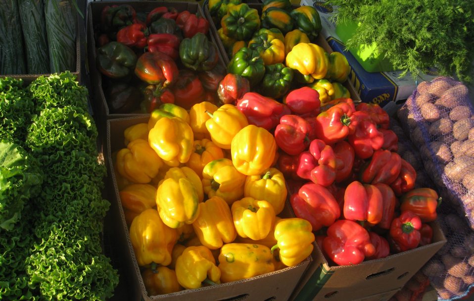 Сельскохозяйственные ярмарки пройдут в Киеве: дата и адреса