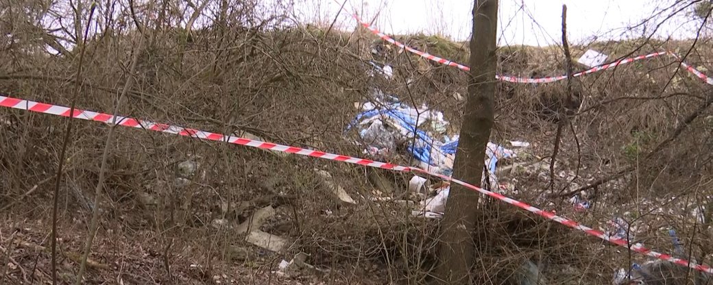 В парке Львова дети нашли части человеческого тела - видео