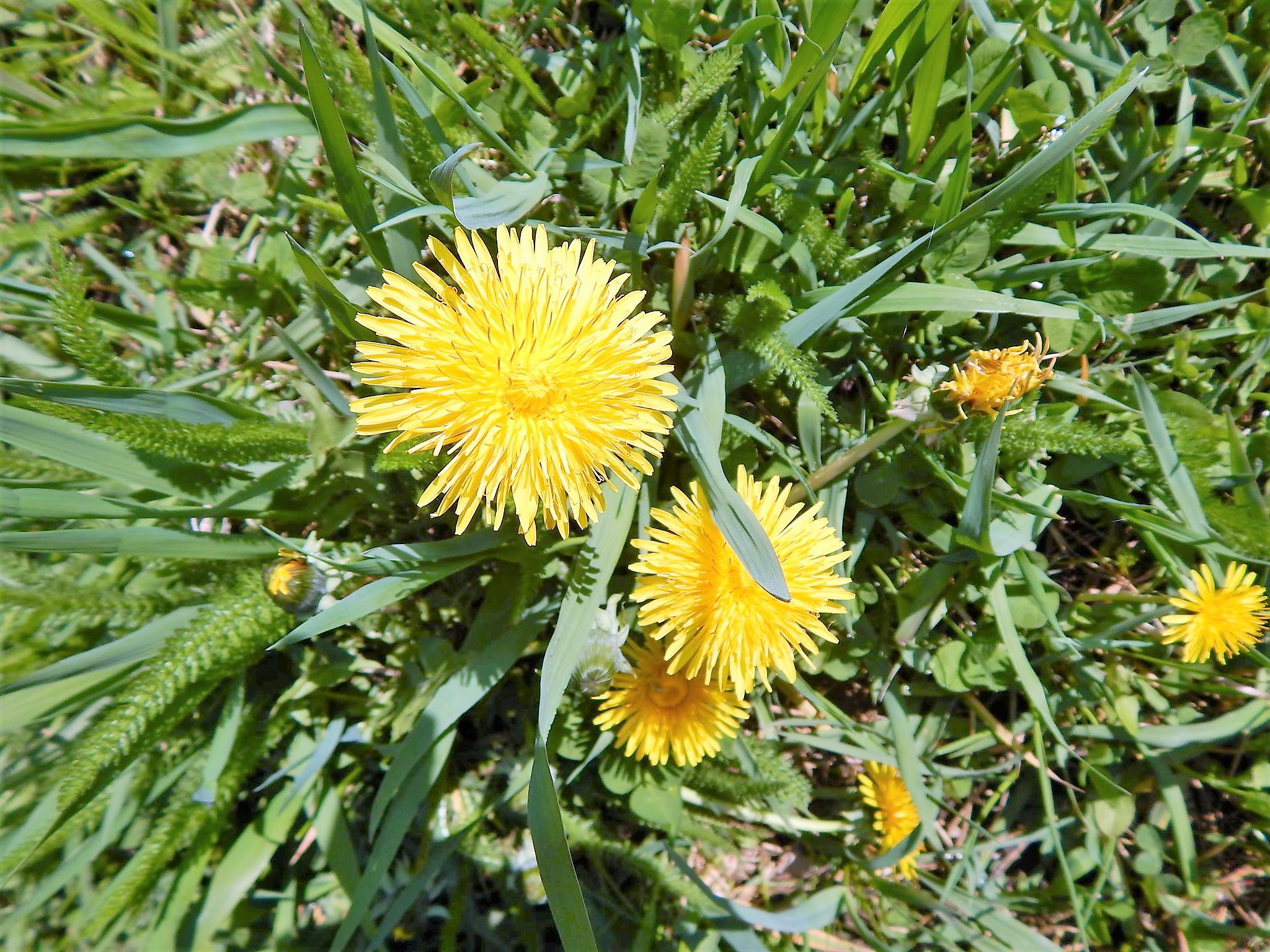 Синоптики обещают украинцам потепление в выходные