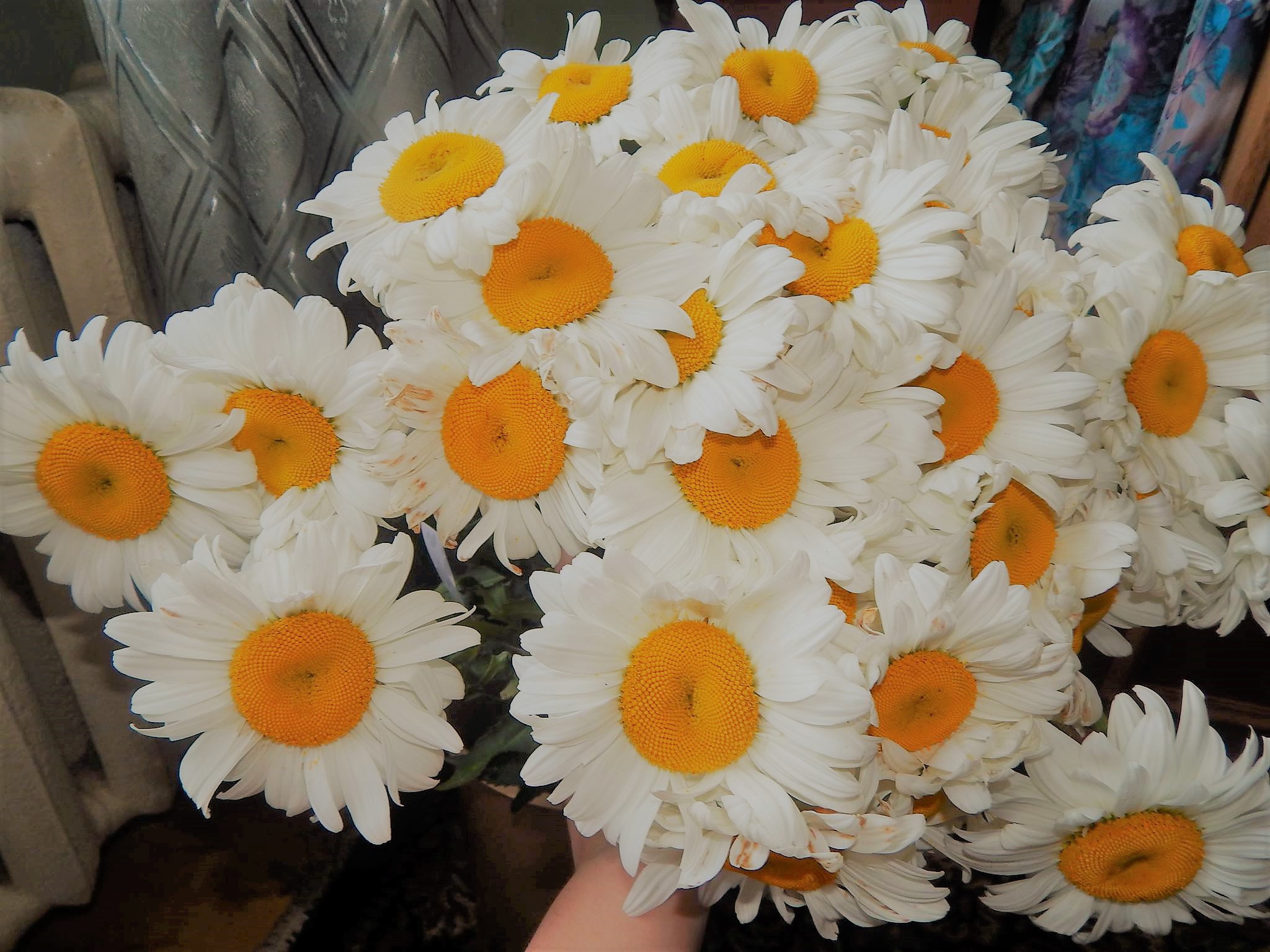 Яке свято 15 липня та хто відзначає іменини