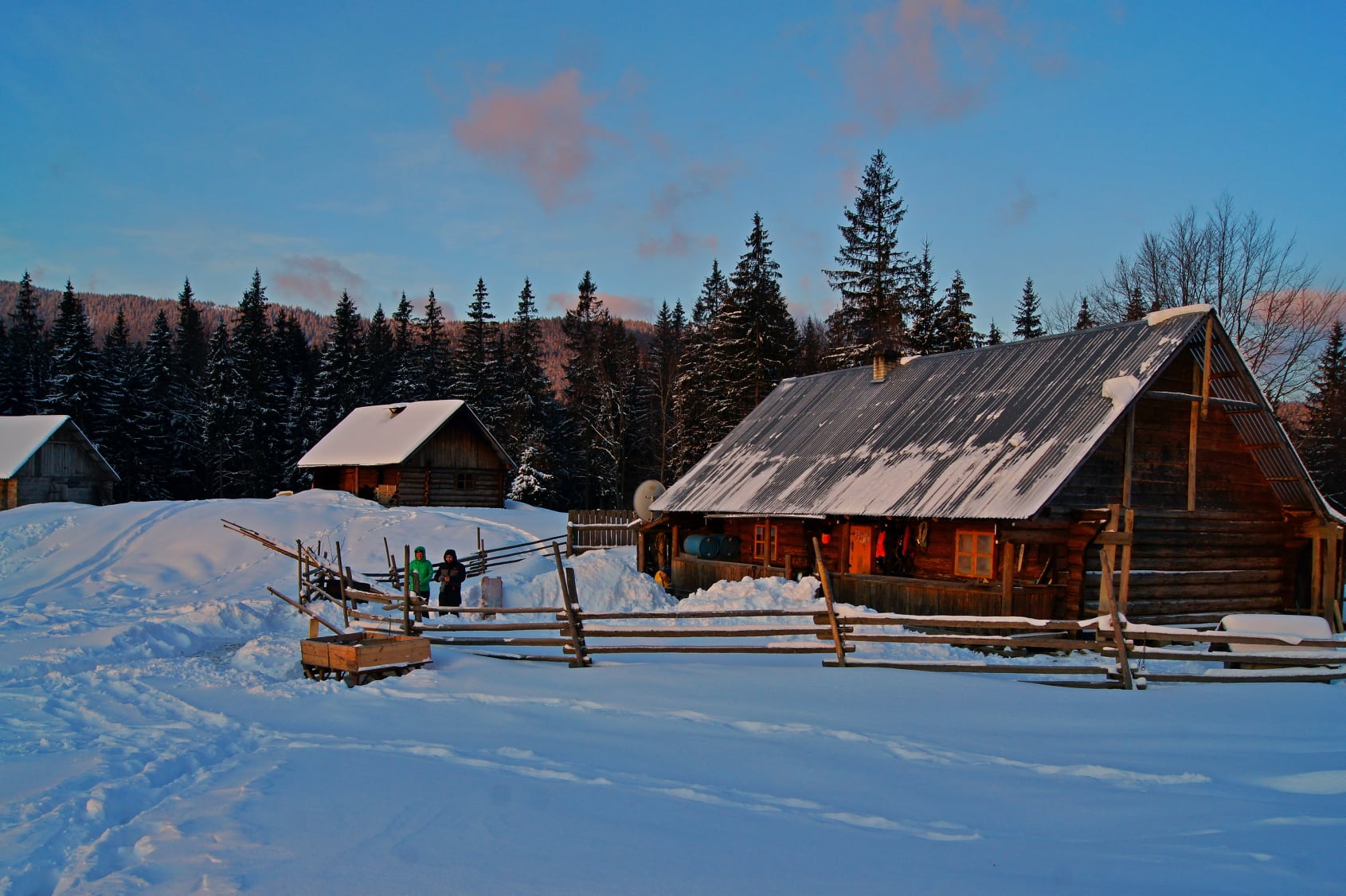 На Львовщине и Закарпатье выпал снег: на дорогах работают аварийки (видео)