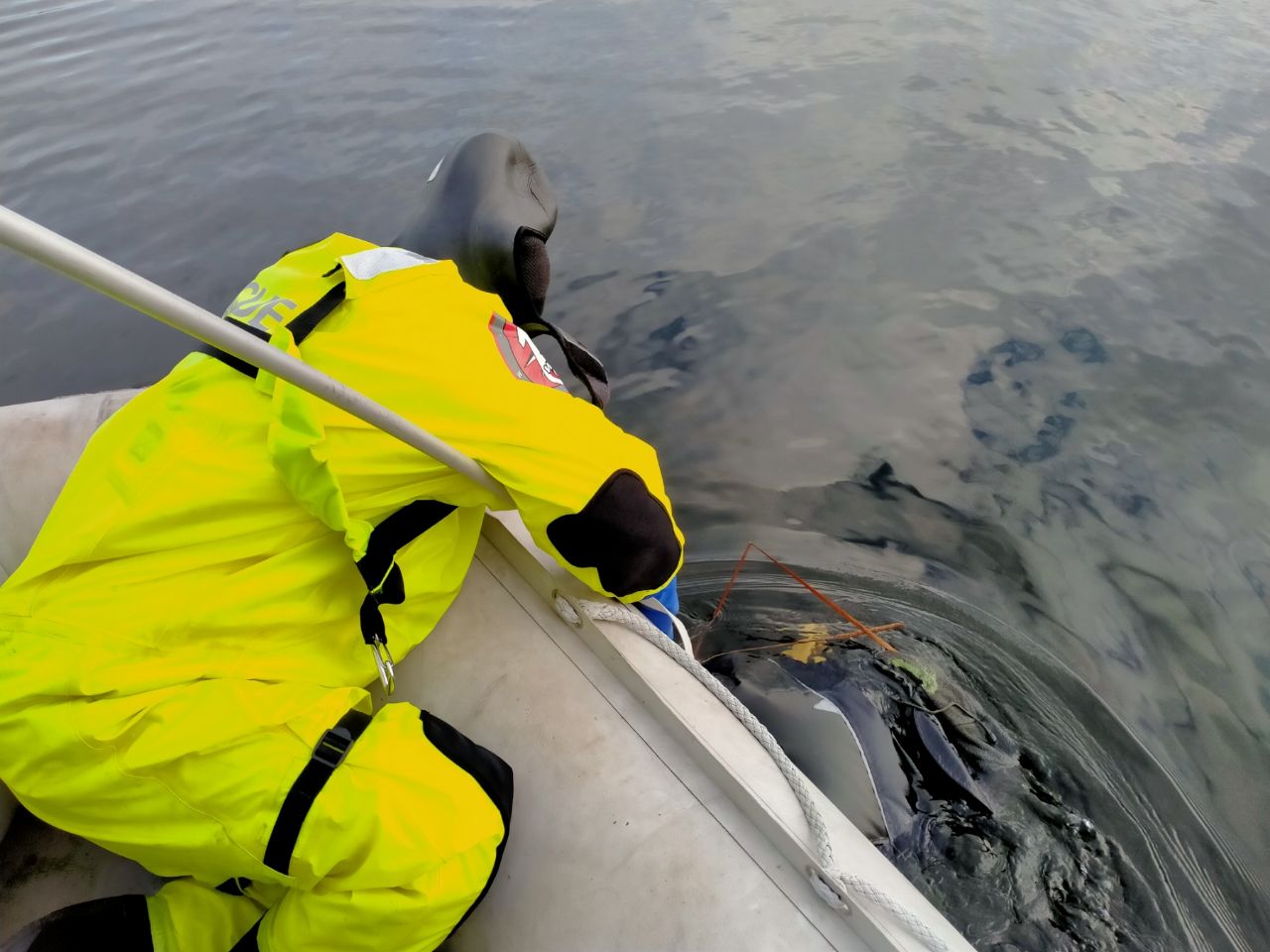 Вблизи Южного моста в Киеве в реке нашли тело женщины