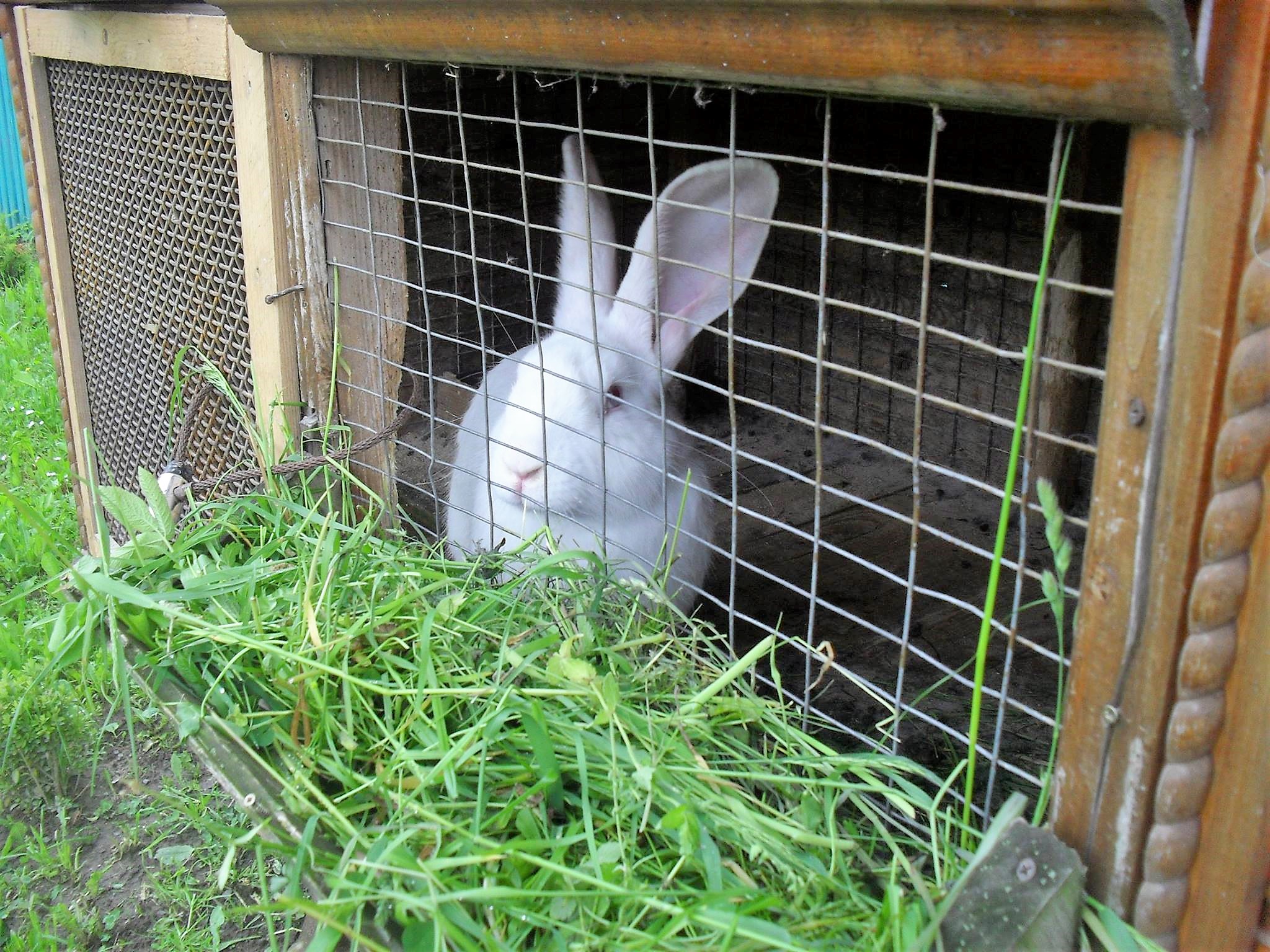 Умеренно тёплый и дождливый: синоптики рассказали о погоде на май