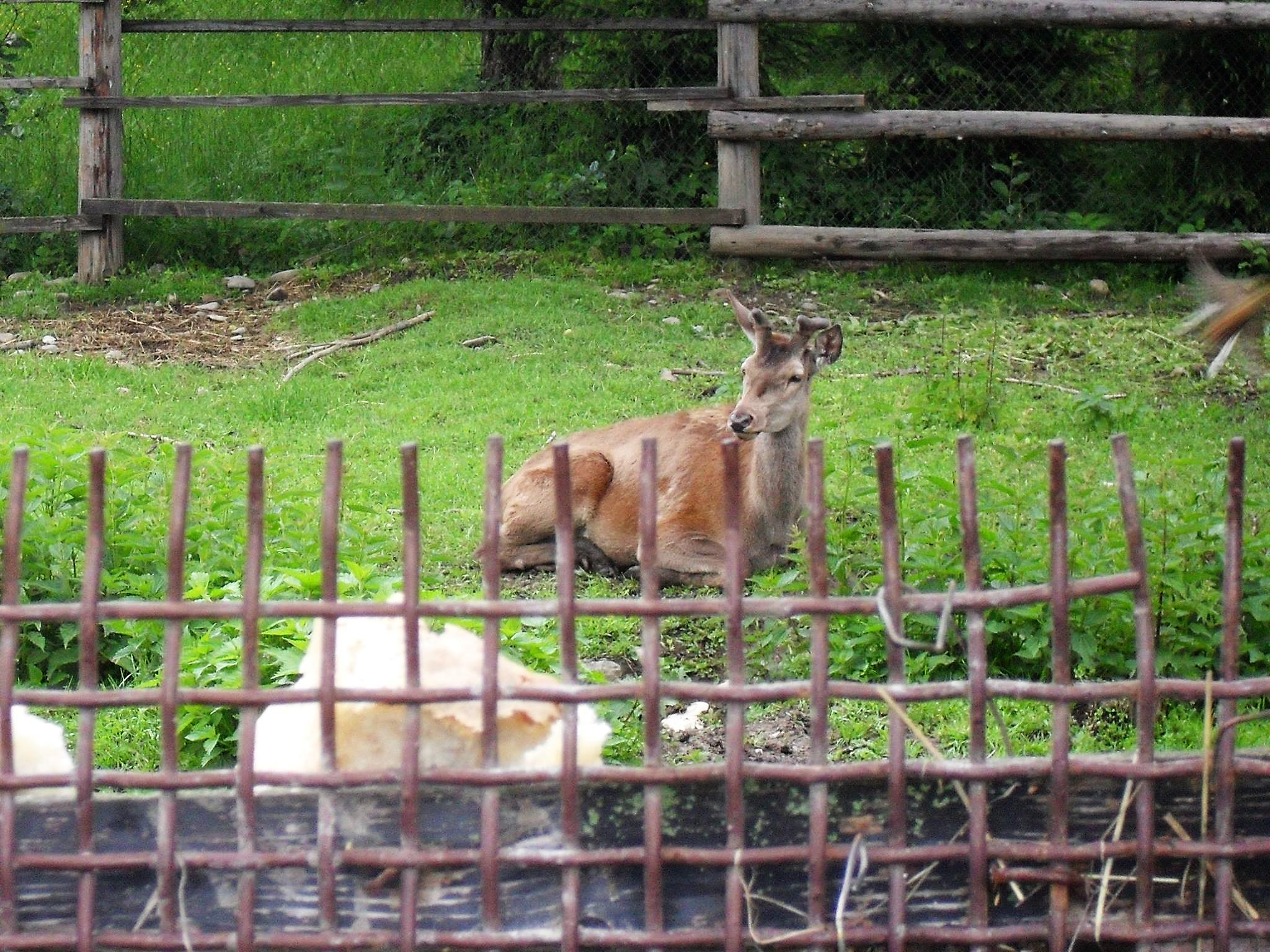 До 30 градусов потеплеет в Украине: синоптики о погоде 7 июня