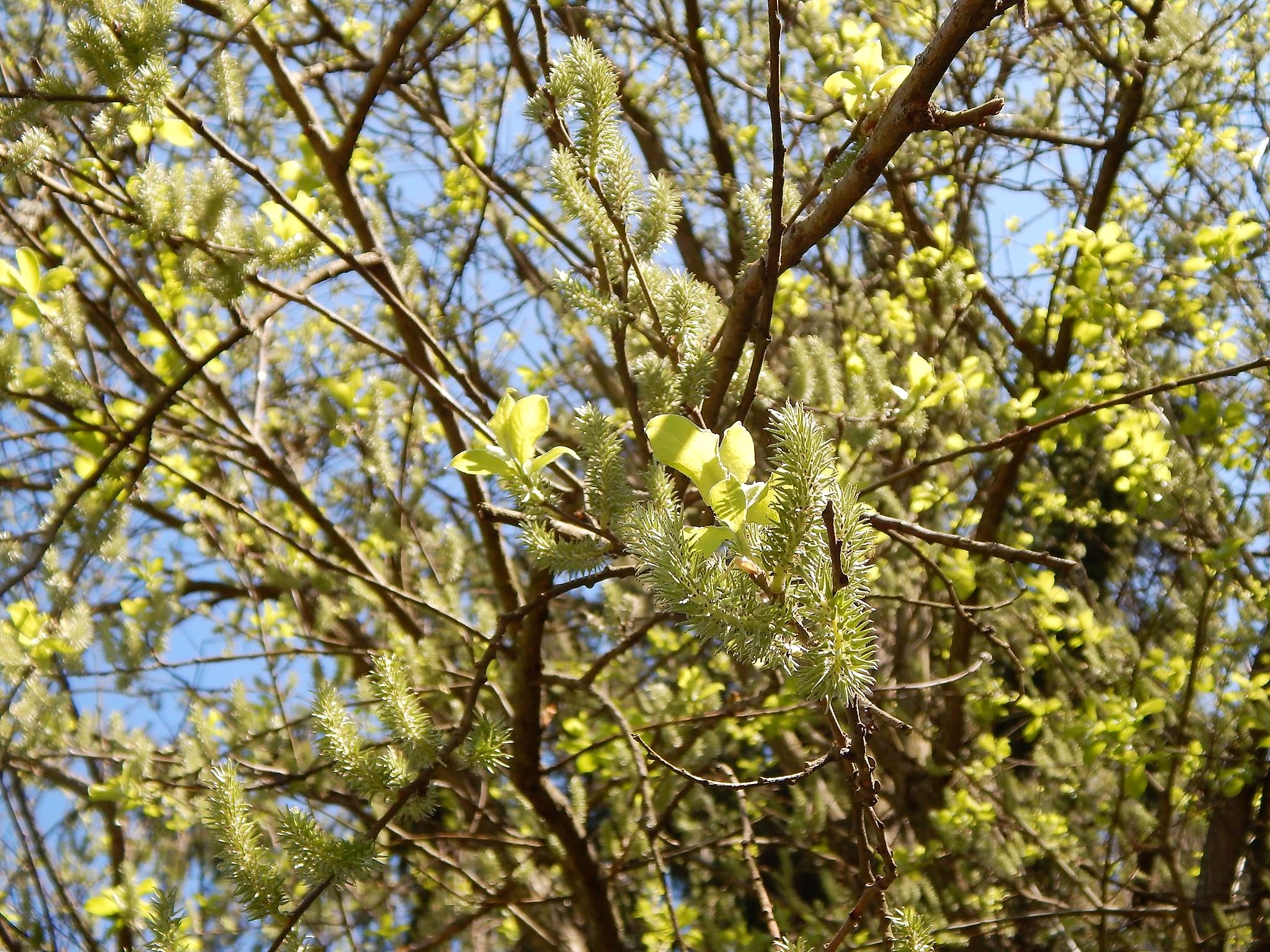Погода немного "образумится": прогноз синоптика на 28 апреля