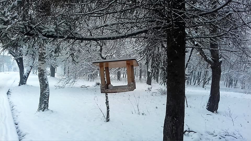 До 10 мороза и небольшой снег: синоптики рассказали о погоде до конца недели