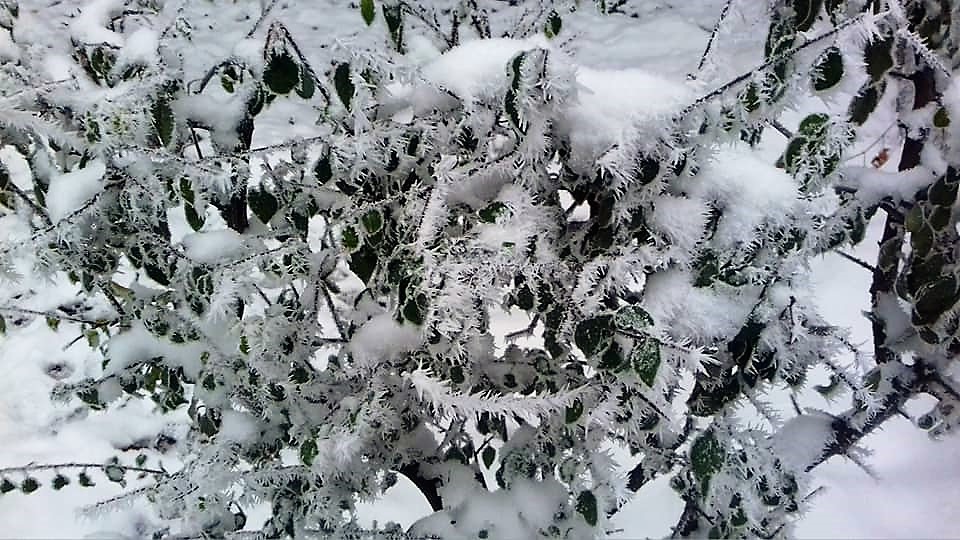 В большинстве областей выпадет снег: прогноз погоды на 1 декабря