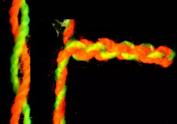 Ученые создали искусственные мышцы, которые оказались сильнее человеческих