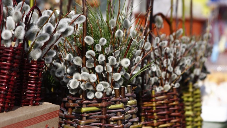 У Вербну неділю в Україні очікують мокрий сніг