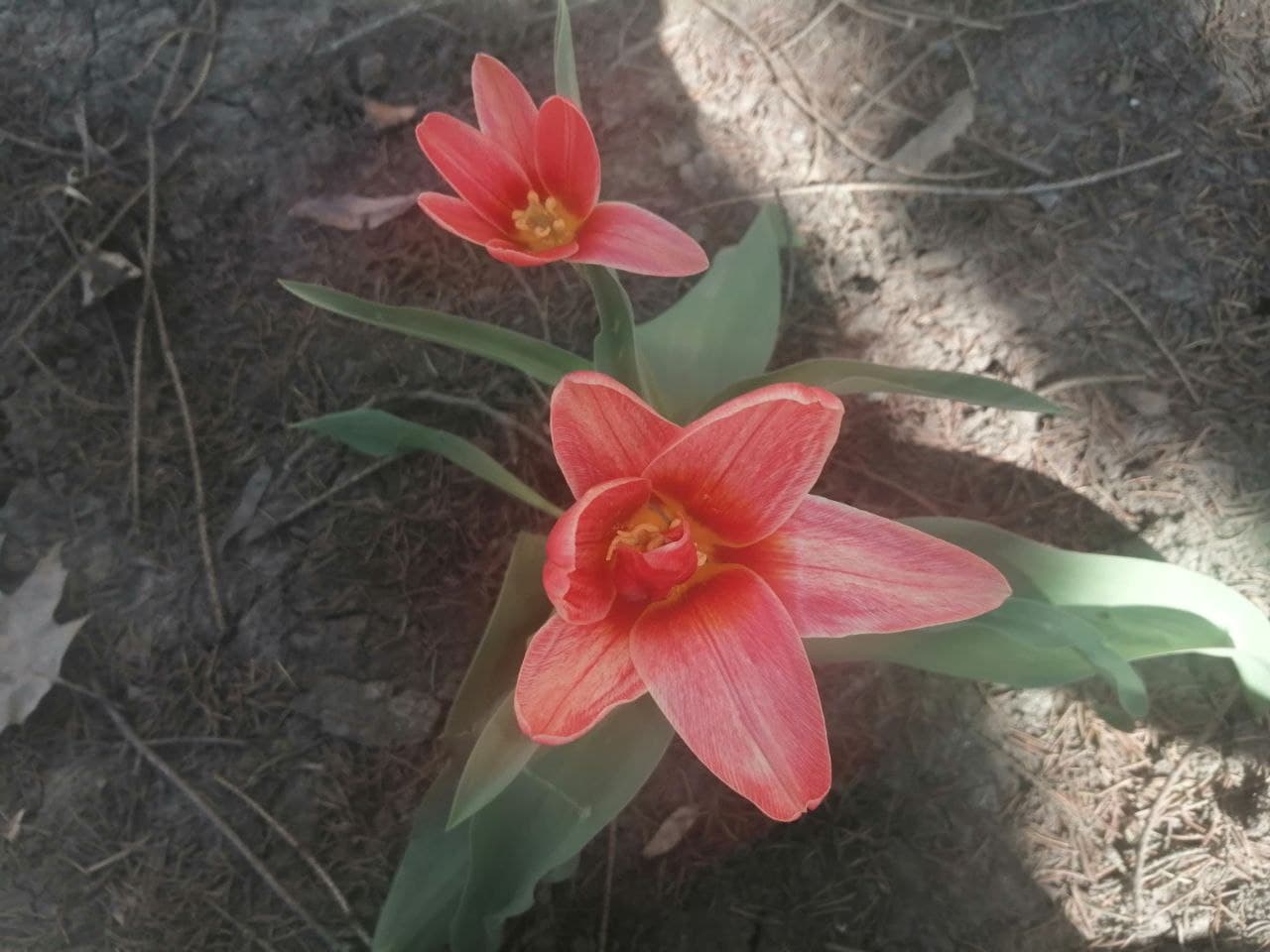 Погода начнет портиться: прогноз синоптиков на 4 июня