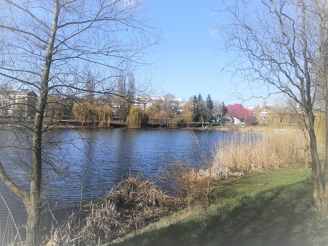 Холодно и местами мокро будет в Украине 7 марта