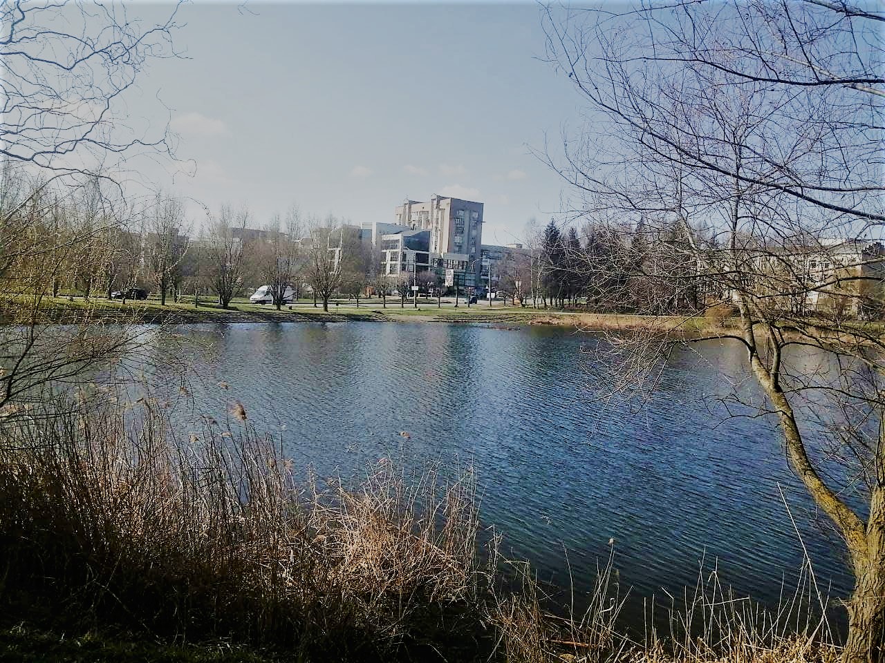 Сухо і похмуро буде в Україні 3 березня