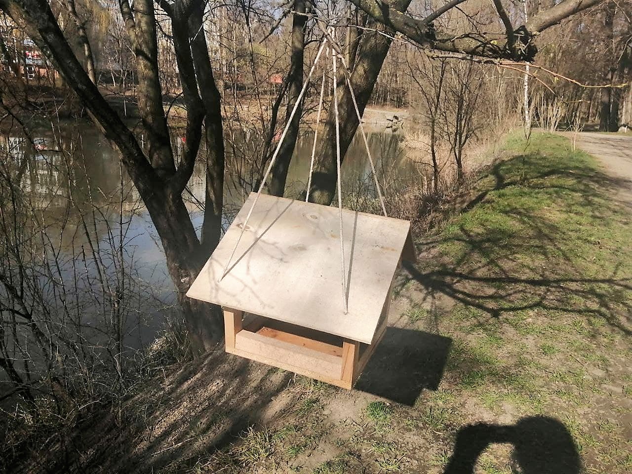 Март в Украине начнется солнцем и теплом