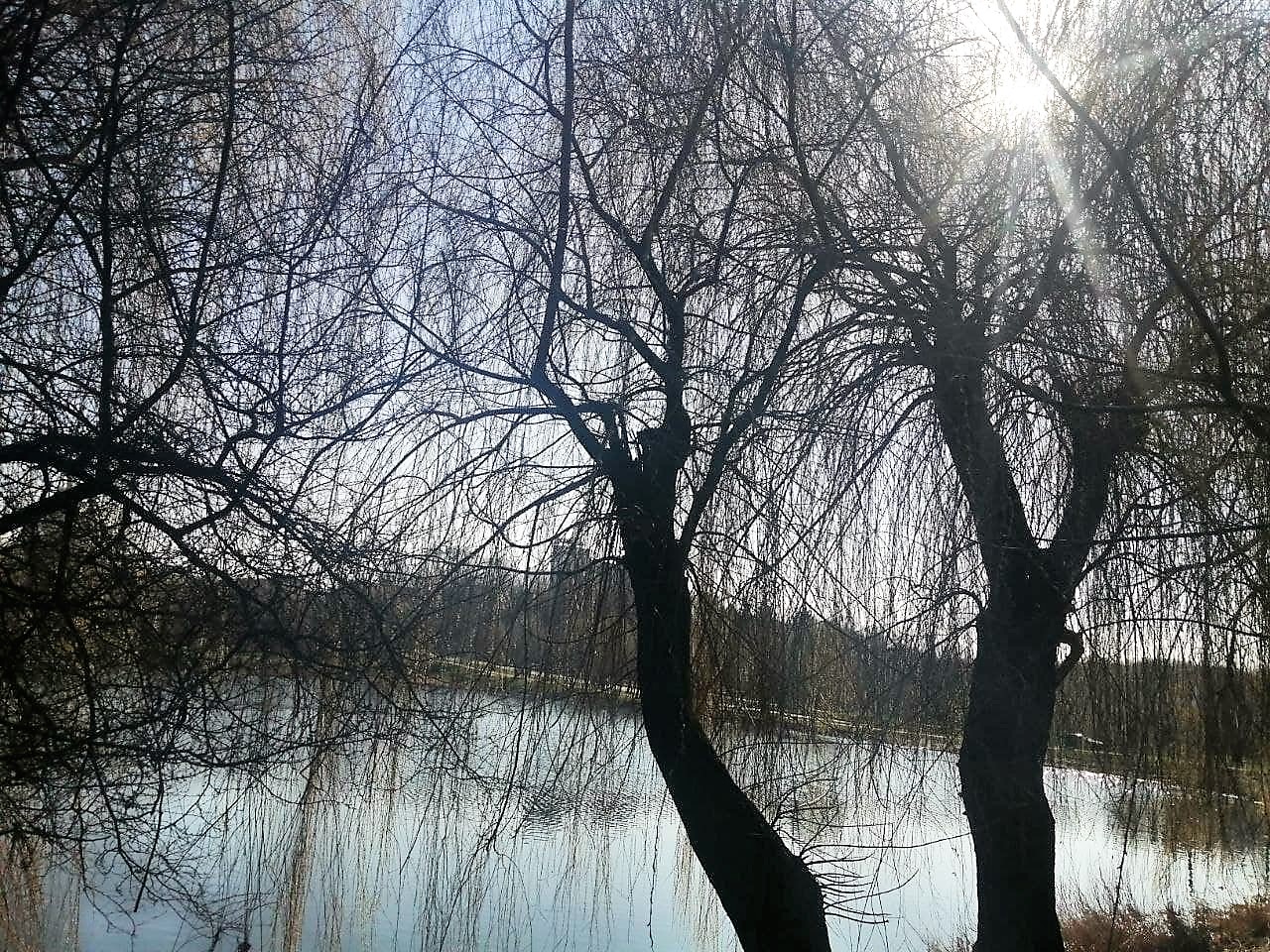 До України прийшло похолодання: прогноз Укргідрометцентру на 16 березня