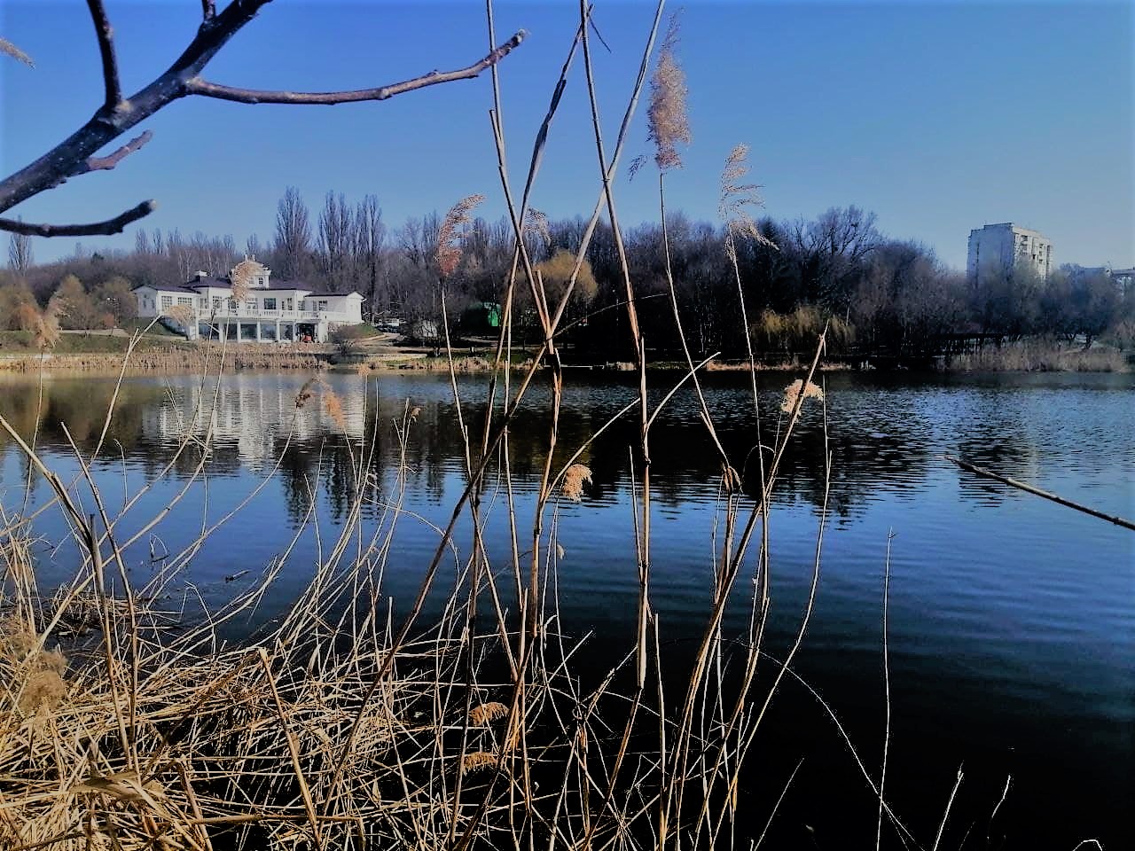 Хмарно і без опадів буде в Україні 10 березня