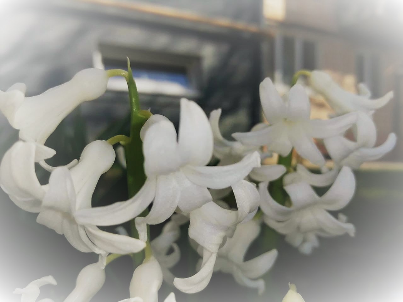 Синоптики о погоде в Украине: после значительного потепления снова пойдет снег