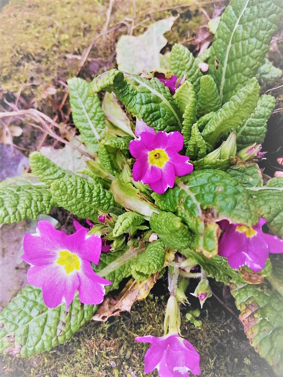 Сплошная облачность: прогноз погоды на 14 марта